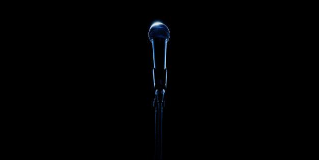 microphone2.jpg